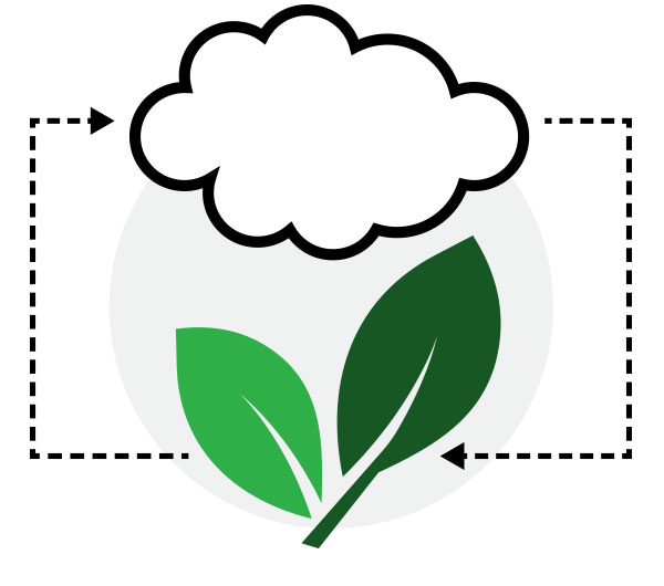 plant-cloud-icon